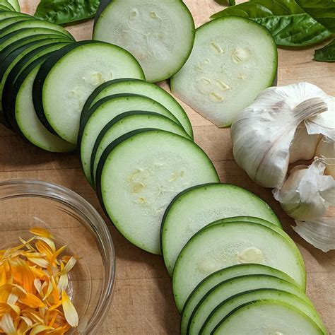 Zucchini Plants | White Flower Farm