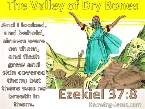 Ezekiel 37:8 The Valley Of Dry Bones (yellow)