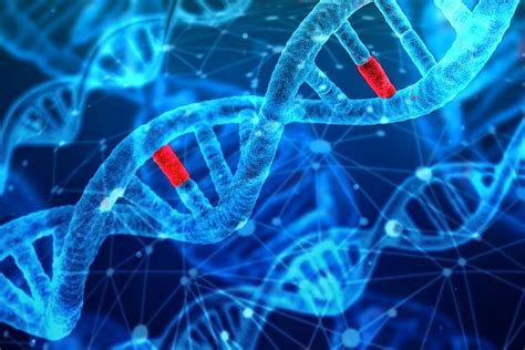 Mutation: Definition & Types (Missense, Nonsense, Deletion, Insertion Etc)