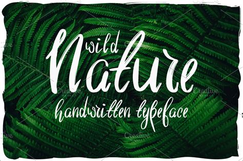 Wild Nature Script Typeface | Symbol Fonts ~ Creative Market