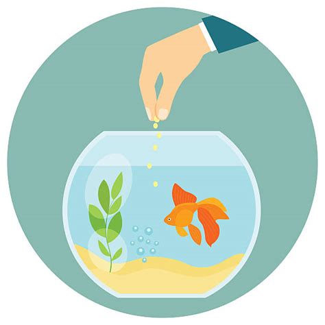 Royalty Free Aquarium Clip Art, Vector Images & Illustrations - iStock