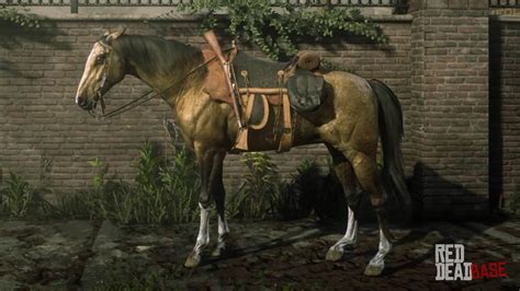 Gold Turkoman Horse | RDR2 & Online Horse Stats & Locations