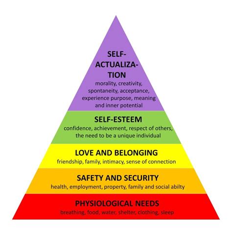 Maslow's Hierarchy of Needs Not a Hierarchy?