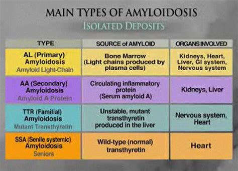 Al Amyloidosis Life Expectancy With Treatment