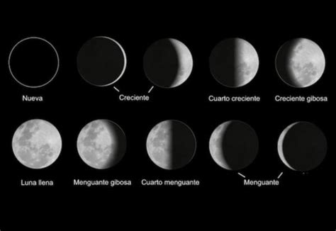 Fases de la Luna: cuáles son y cómo identificarlas - Resumen