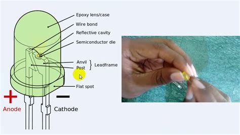 Anode cathode diode - gulutap