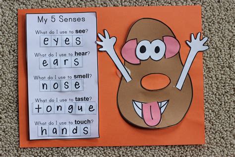 5 senses art and craft activities - Google Search | Senses preschool ...