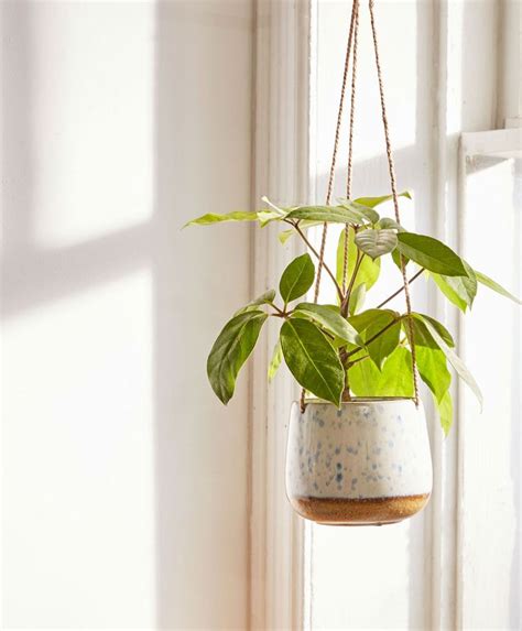 8 Hanging Planters That Will Make You and Your Plants Happy | Hanging ...