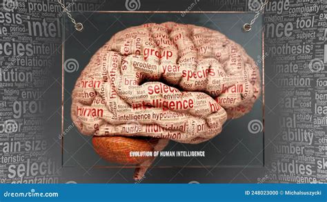 Evolution of Human Intelligence in Human Brain Stock Illustration ...