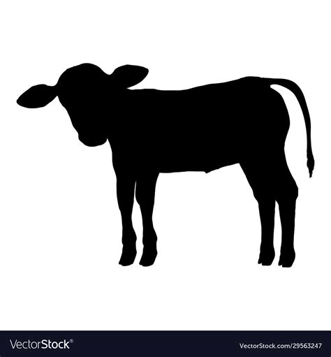 Little calf silhouette cattle Royalty Free Vector Image