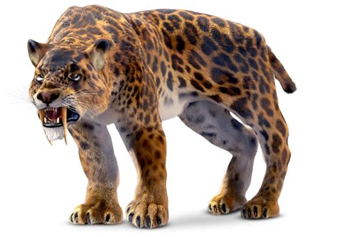 Smilodon Facts | Saber Tooth Tiger Facts | DK Find Out