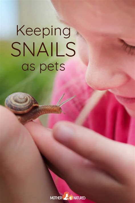 Keeping Pet Snails: Everything you need to know about their care!