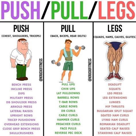 If you are doing a push/pull/legs split, you really have lots of ...