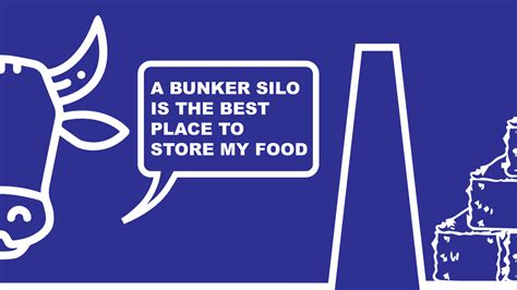 About - BUNKER SILO