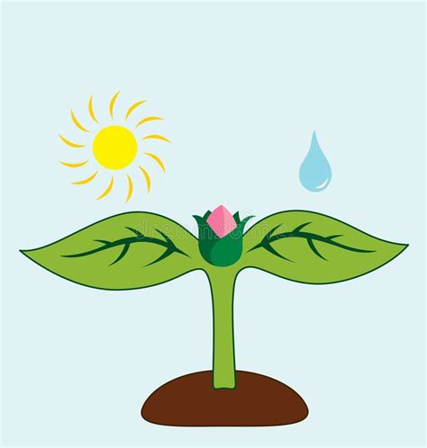 What Plant Needs stock vector. Illustration of growth - 12738708