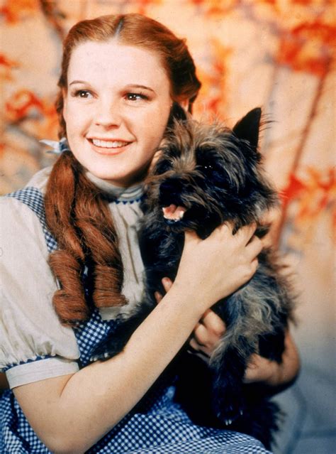 Stills - The Wizard of Oz Photo (19566522) - Fanpop