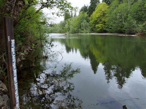 Salmon habitat dollars ‘inadequate,’ MP says | Ha-Shilth-Sa Newspaper