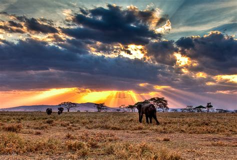 Serengeti National Park - National Park in Tanzania - Thousand Wonders