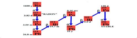 | Radioactive decay chain of radon. | Download Scientific Diagram