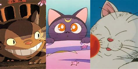 Cat Anime Characters