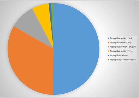 Multicenter Study of Susceptibility of Aspergillus Species Isolated ...