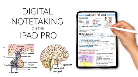 Digital Note-taking Tips on the iPad Pro (GoodNotes) - YouTube