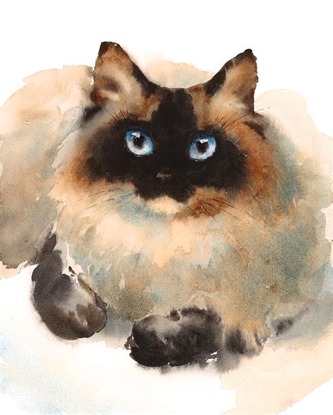 Easy cat watercolor painting - distributionlader