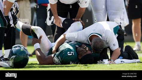 Donovan mcnabb eagles hi-res stock photography and images - Alamy