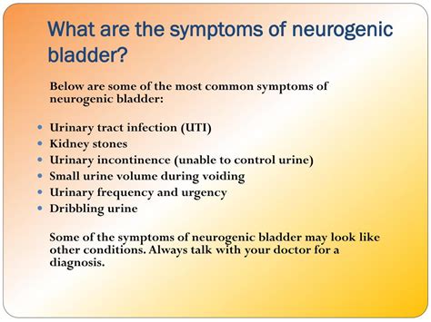 PPT - Neurogenic Bladder: Causes, Symptoms, Daignosis, Prevention and ...