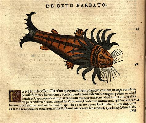 December 16 – Kraken – Special Collections blog