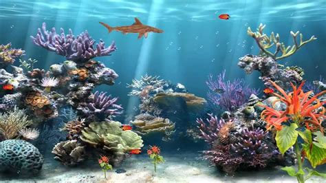 Animated Fish Aquarium Desktop Wallpapers - WallpaperSafari