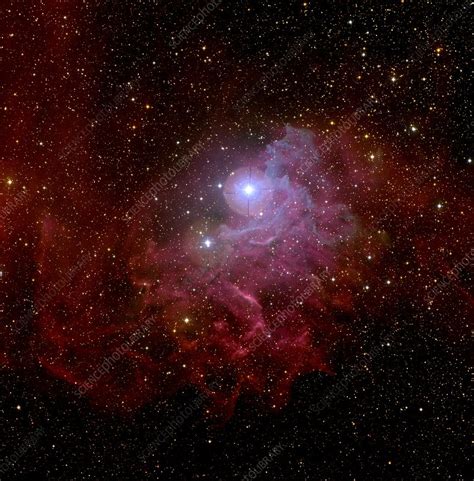 Flaming Star nebula - Stock Image - R560/0314 - Science Photo Library