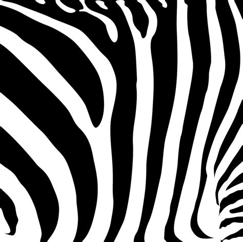 Zebra stripes clipart 20 free Cliparts | Download images on Clipground 2024