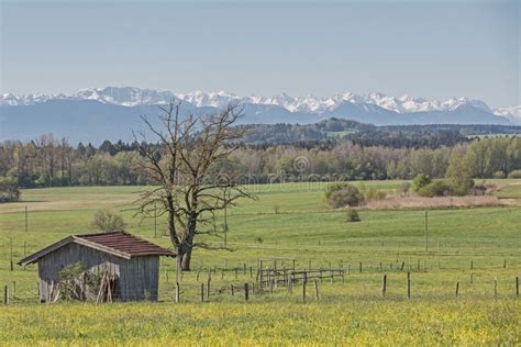 Landscape Near Deining in Upper Bavaria Stock Image - Image of meadow ...