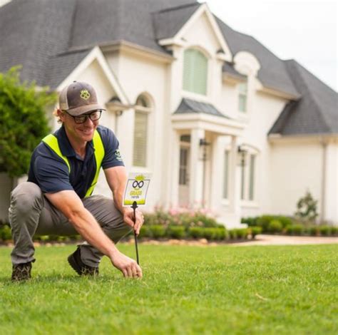 Lawn Grub Control 101: Tackling an Underground Threat