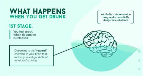 How Alcohol Affects the Brain | Northpoint Washington