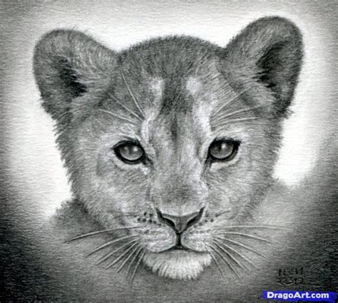 Lion Cub Tattoo, Cubs Tattoo, Lion Drawing, Elephant Drawing, Giraffe ...