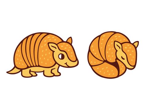 Armadillo Illustrations, Royalty-Free Vector Graphics & Clip Art - iStock