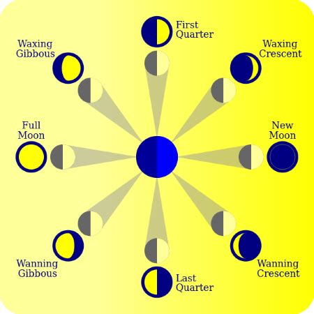 Moon Phase Cycle | Names, Order & Appearance - Video & Lesson ...