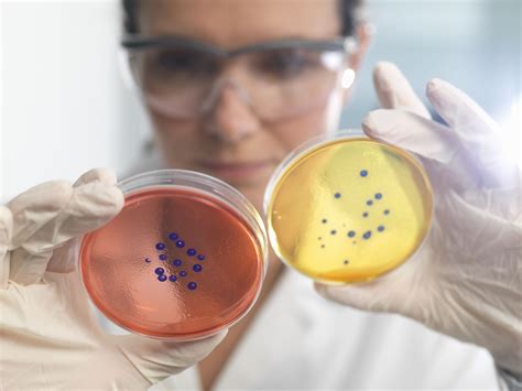 Essential Tools for Protein Engineering