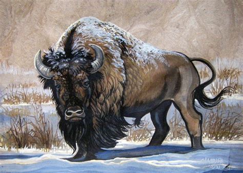 Annie's Current Paintings | American bison, Bison art, Buffalo art