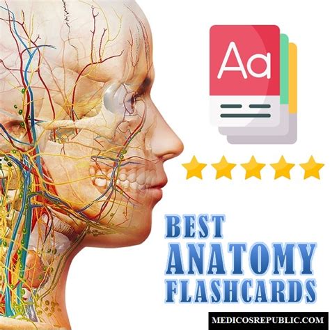 5 Best Anatomy Flashcards For Medical Students & Nurses 2023