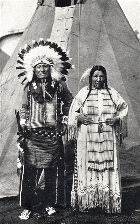 Native American Indian Pictures: Ogala Lakota Sioux Headdress Picture ...