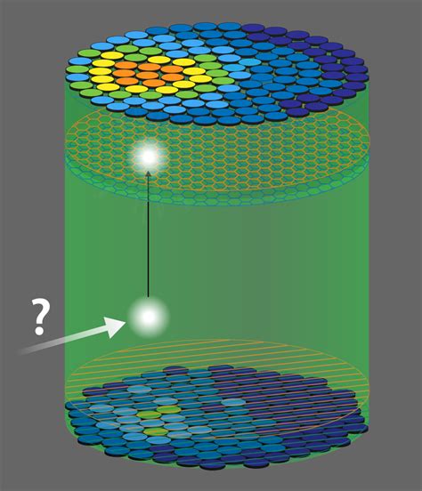 Physics - Dark Matter Detector Delivers Enigmatic Signal