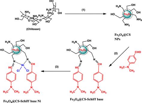 Synthesis of Fe3O4@CS-Schiff base Ni complex; reaction conditions: (1 ...