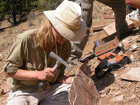 Paleontology in the Field