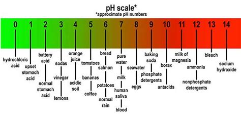 Real World Gardener What's Soil pH? in Design Elements | Real World ...