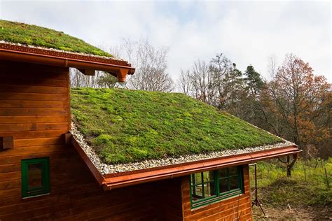 Residential Green Roof Maintenance & Uses for Eco-Roof Systems - IKO