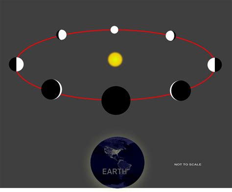 File:Phases-of-Venus2.jpg - Wikimedia Commons