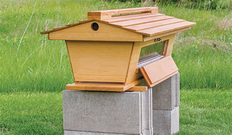 Building a Backyard Beehive - Woodworking | Blog | Videos | Plans | How To